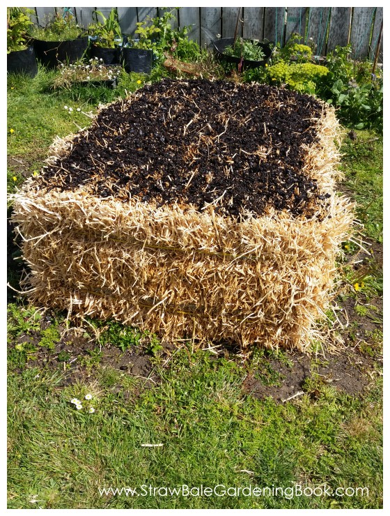 Straw Bales tied together with rope to make the entire structure more secure.