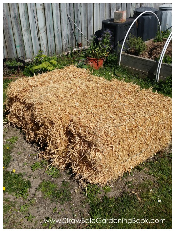 Straw Bale Garden Development...