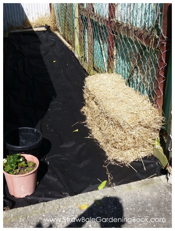 Straw Bale Garden Development...