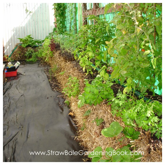 Straw Bale Garden Update 6 Months....