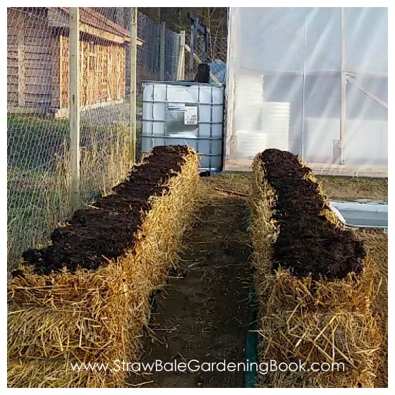 Straw Bale Garden Photo Gallery… Straw Bale Gardening