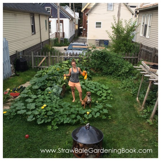 While This Straw Bale Garden Might Be Small, The Harvest Was Anything But…