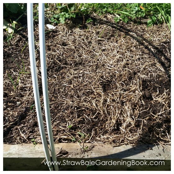 Old Straw Bales Used As A Mulch On A Traditional Garden Bed...