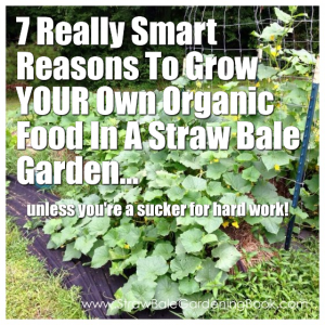 7 Really Smart Reasons To Grow YOUR Own Organic Food In A Straw Bale Garden...