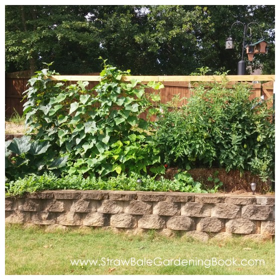 Straw Bale Garden Setup Landscaped Into The Garden...